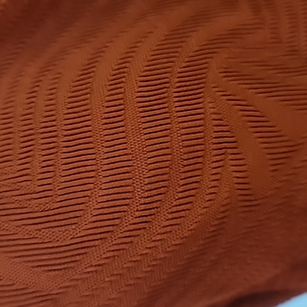 Textured Rust Orange 1pc Swimsuit - Picture 3 of 9